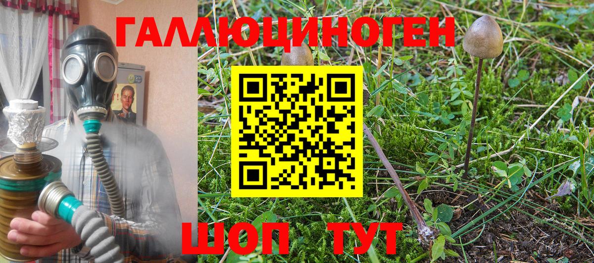 Псилоцибиновые грибы MAGIC MUSHROOMS Лысьва
